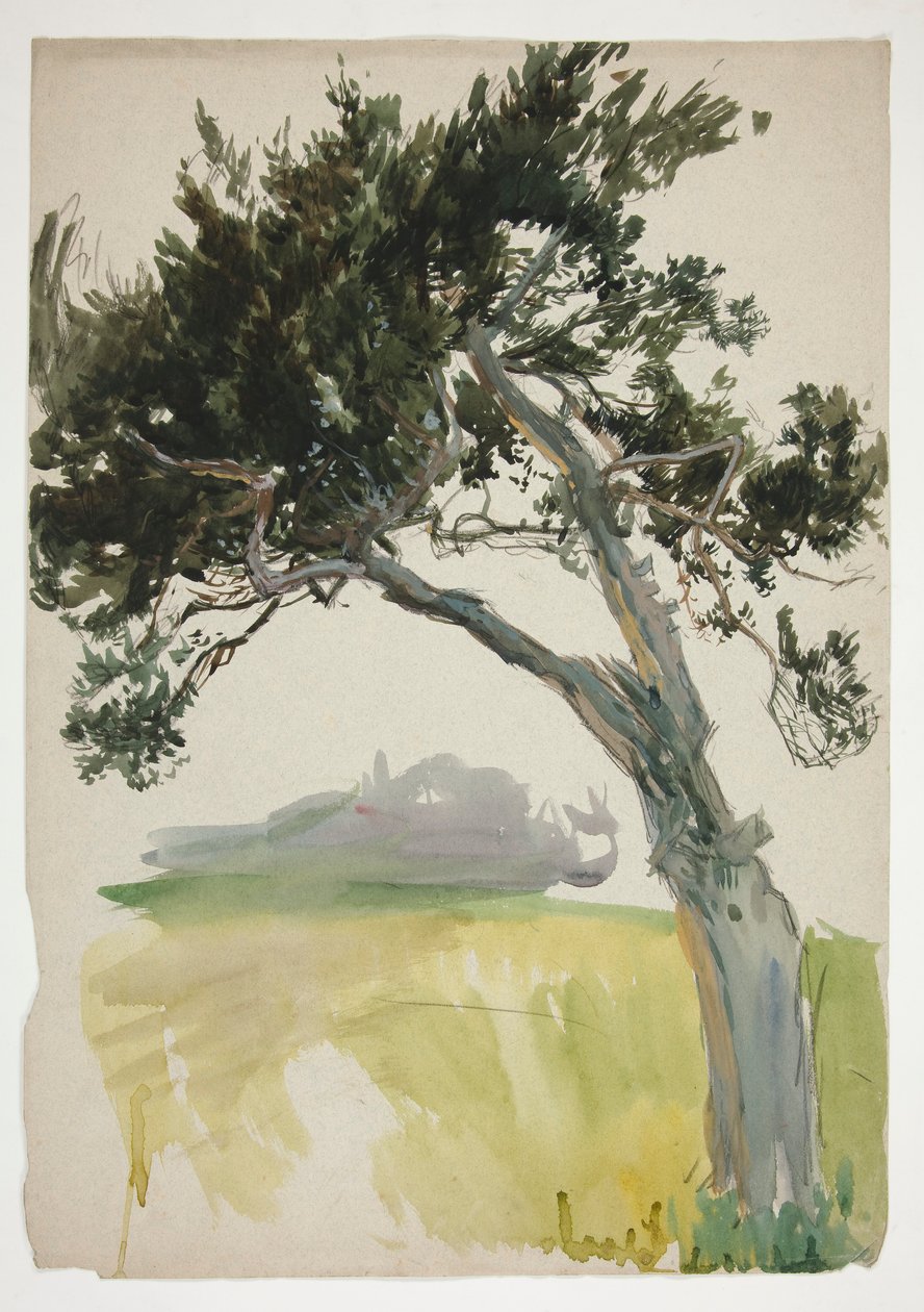 Studie av et tre og åker av Edwin Austin Abbey