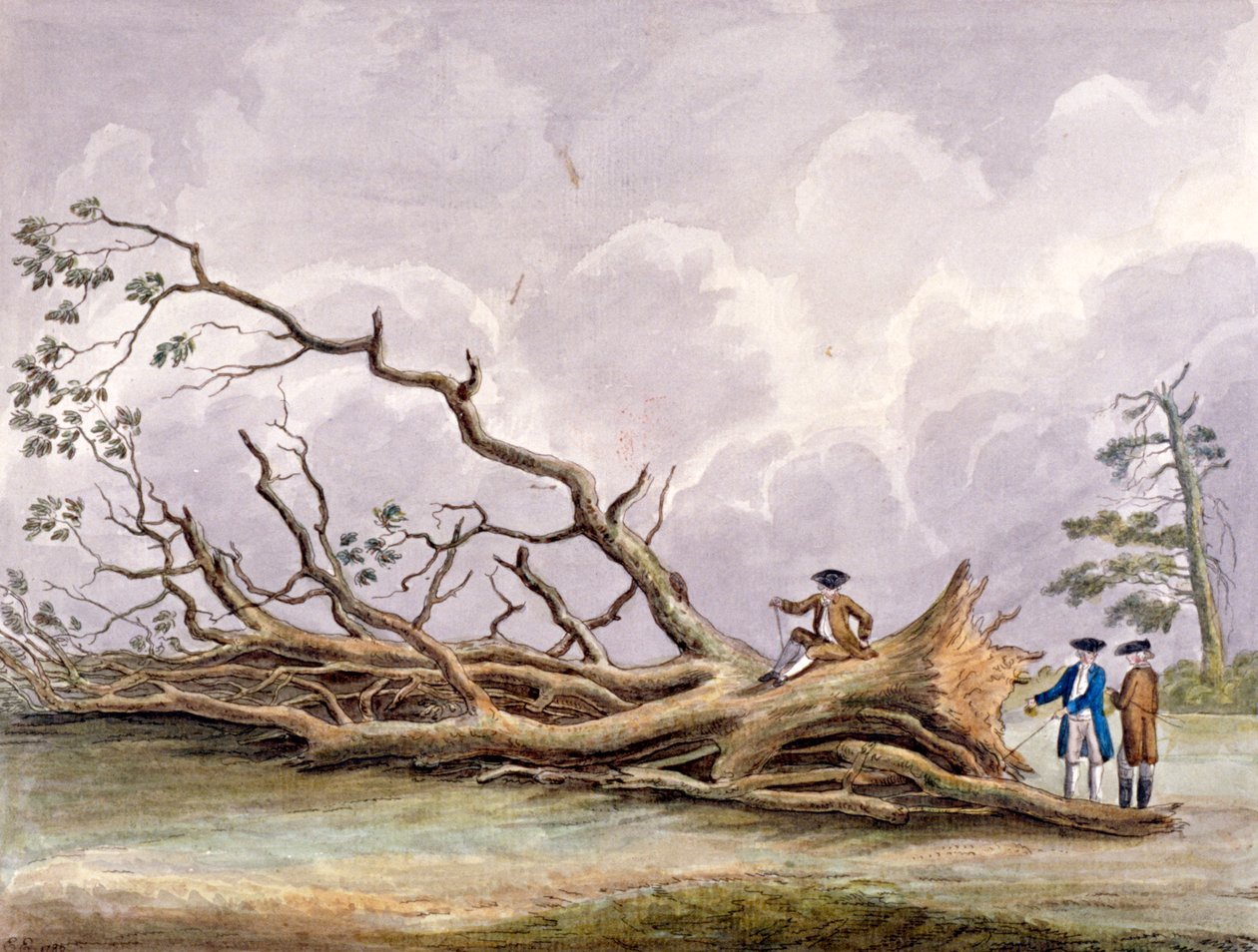 Trær skadet av en storm 15. oktober, Roehampton, London, 1780 av Edwin Edwards