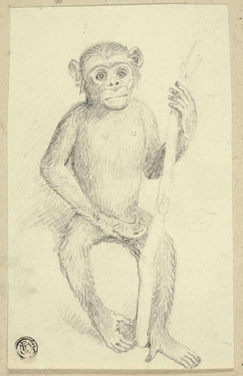 Orangutang av Edwin Henry Landseer
