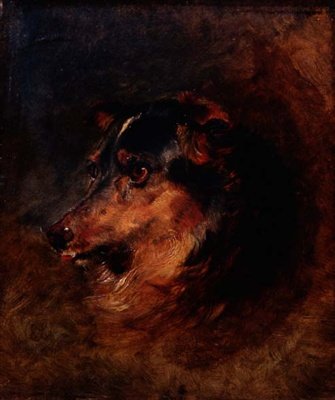 En hodestudie av en colliehund av Edwin Landseer