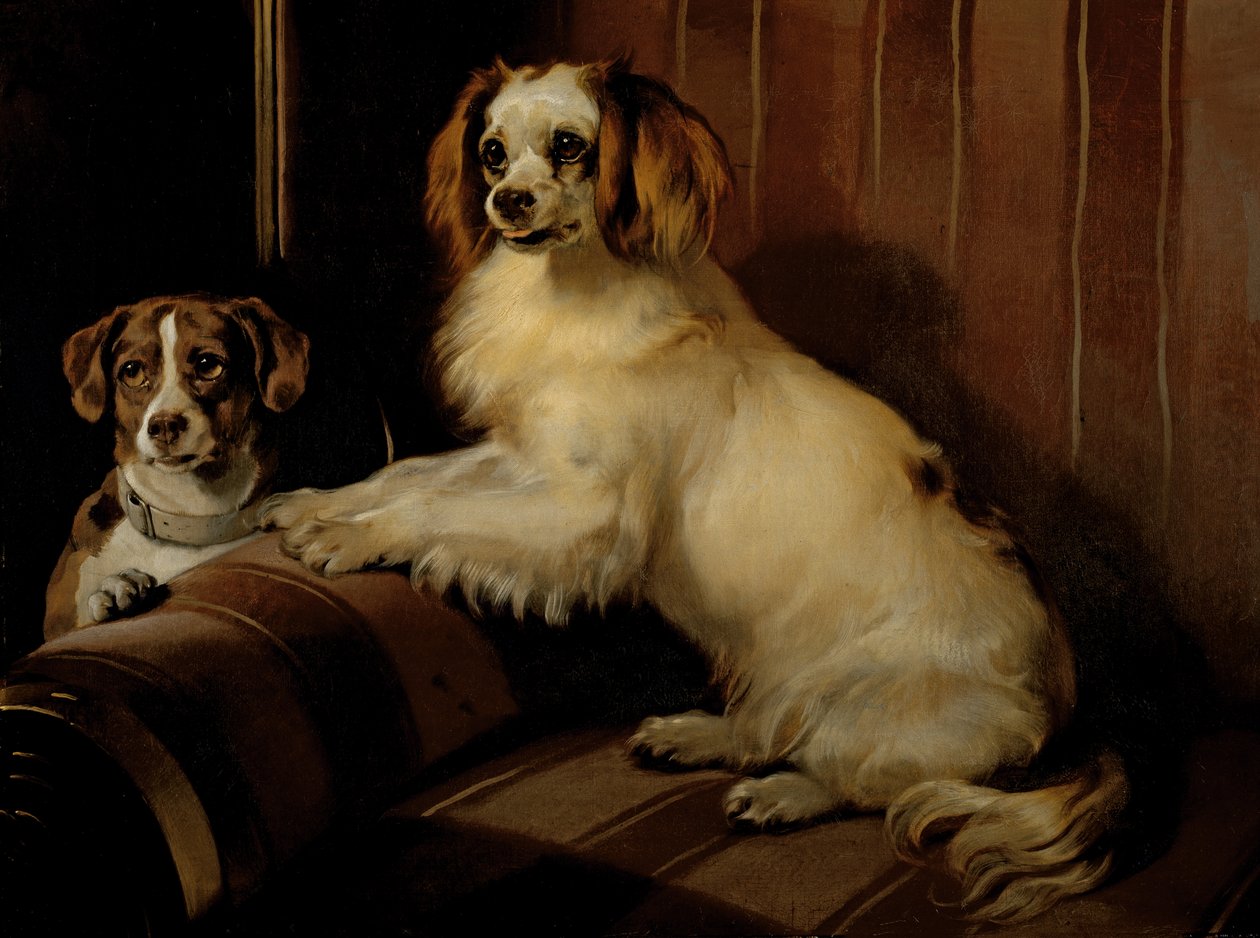 Bon(e)y og Var, ca. 1843 (olje på lerret) av Edwin Landseer