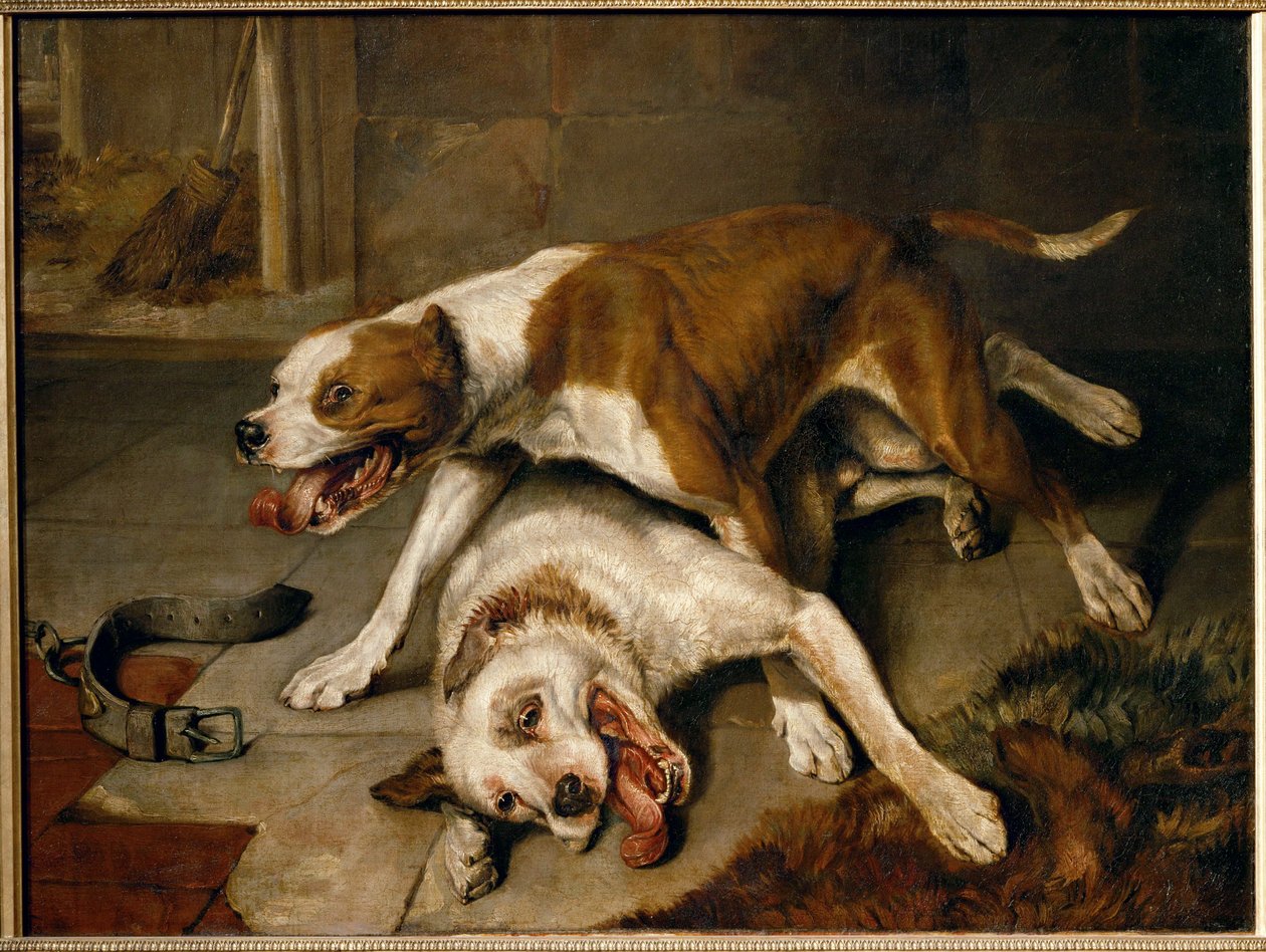  av Edwin Landseer