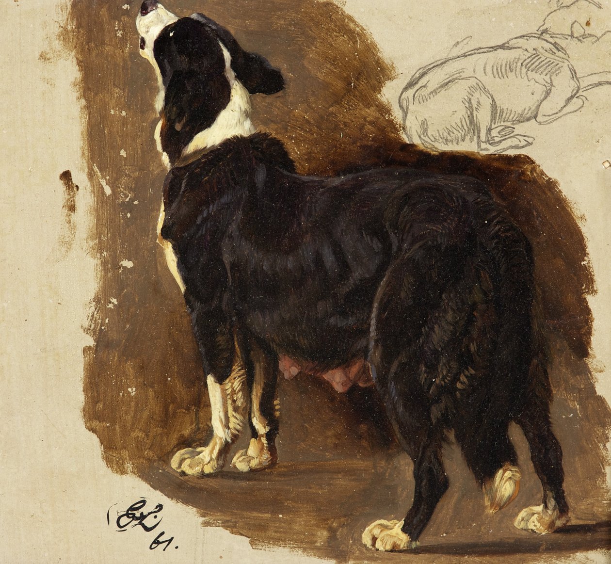 Collie tispe (olje og blyant på kort) av Edwin Landseer