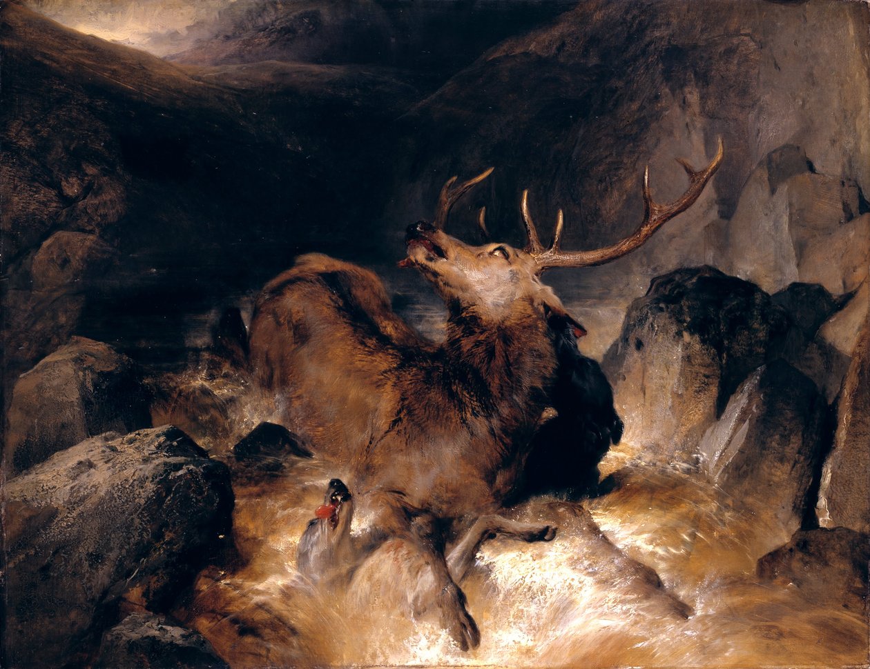 Hjort og skotske hjortehunder i en fjellbekk av Edwin Landseer