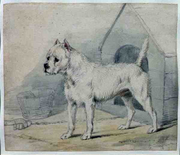 Hund utenfor en kennel (blyant og vask) av Edwin Landseer