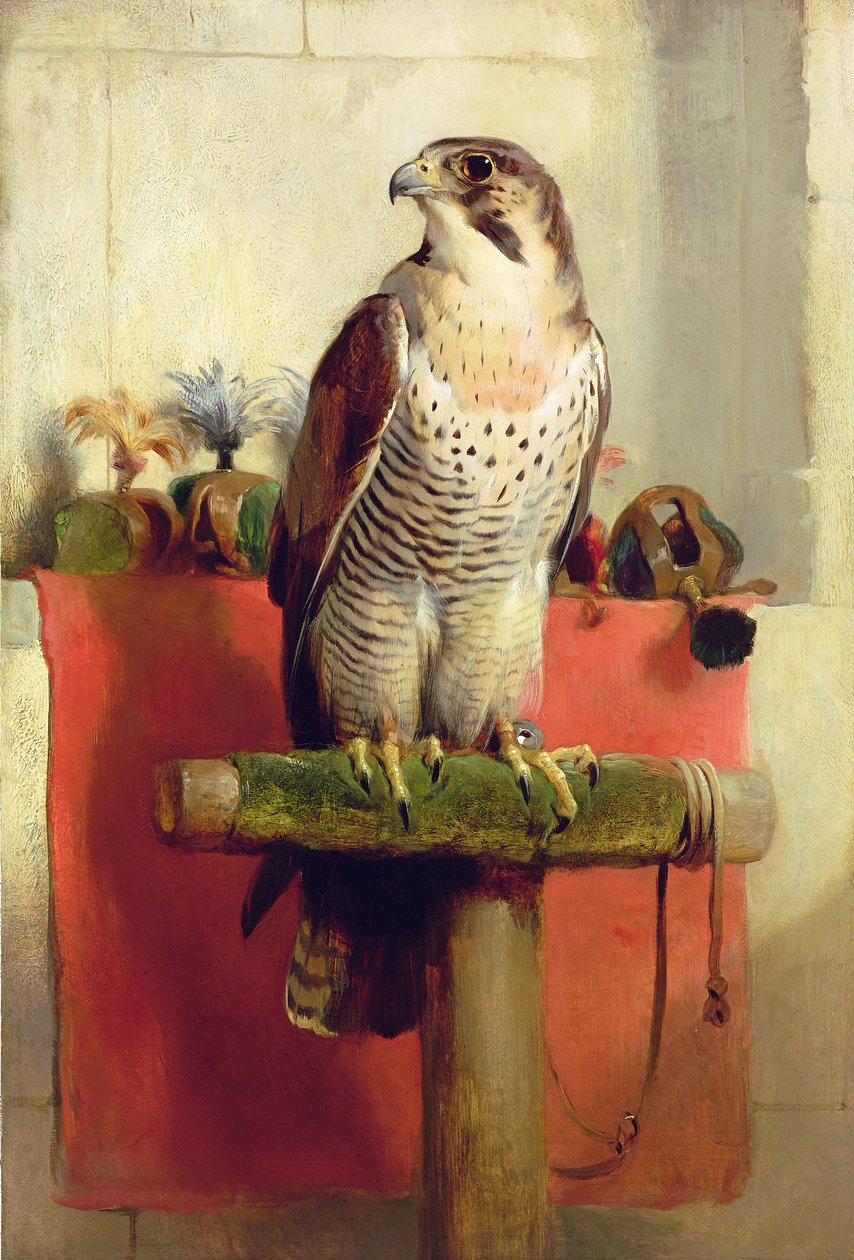 Falcon, 1837 av Edwin Landseer