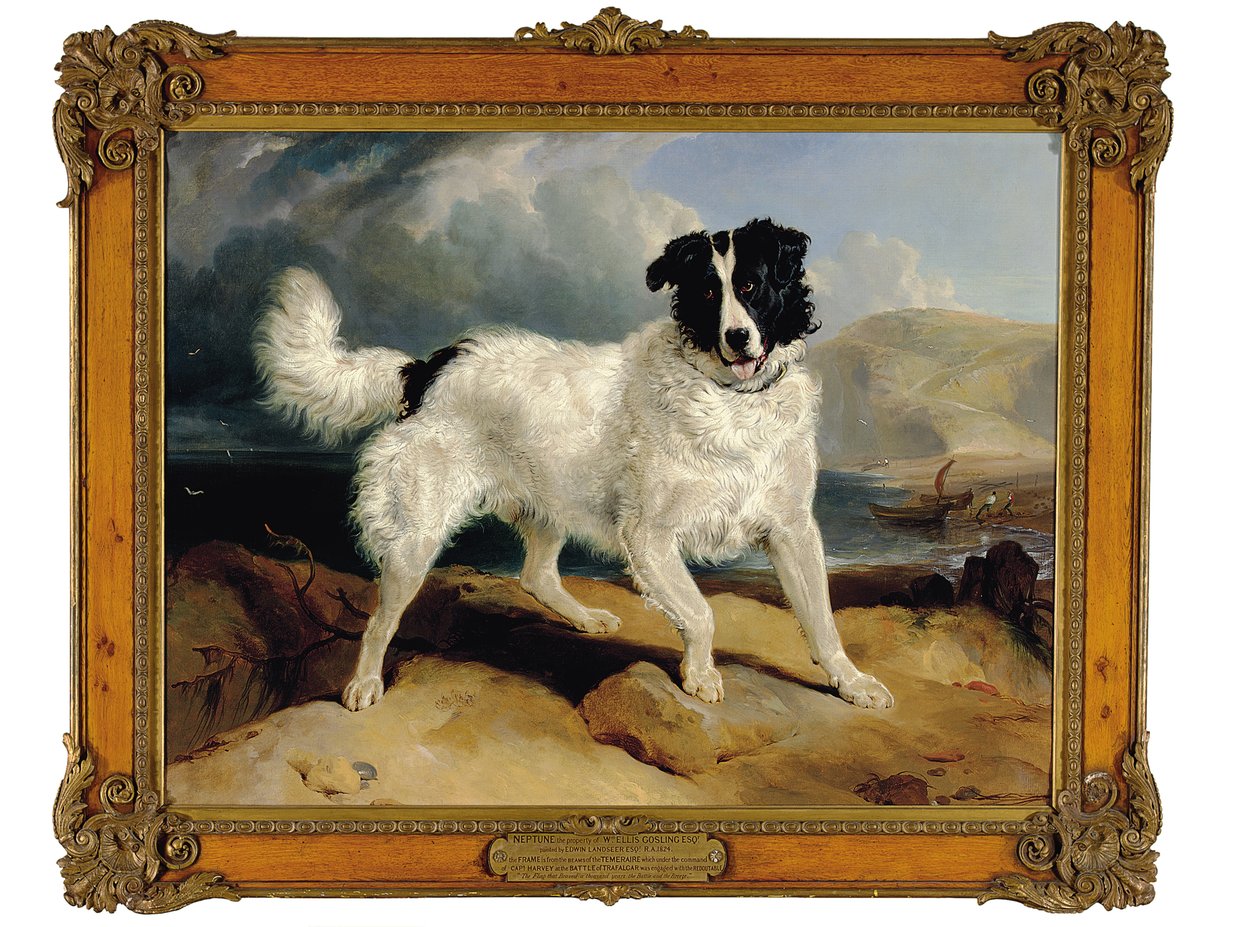Neptun, eiendommen til William Ellis Gosling, Esq., 1824 av Edwin Landseer