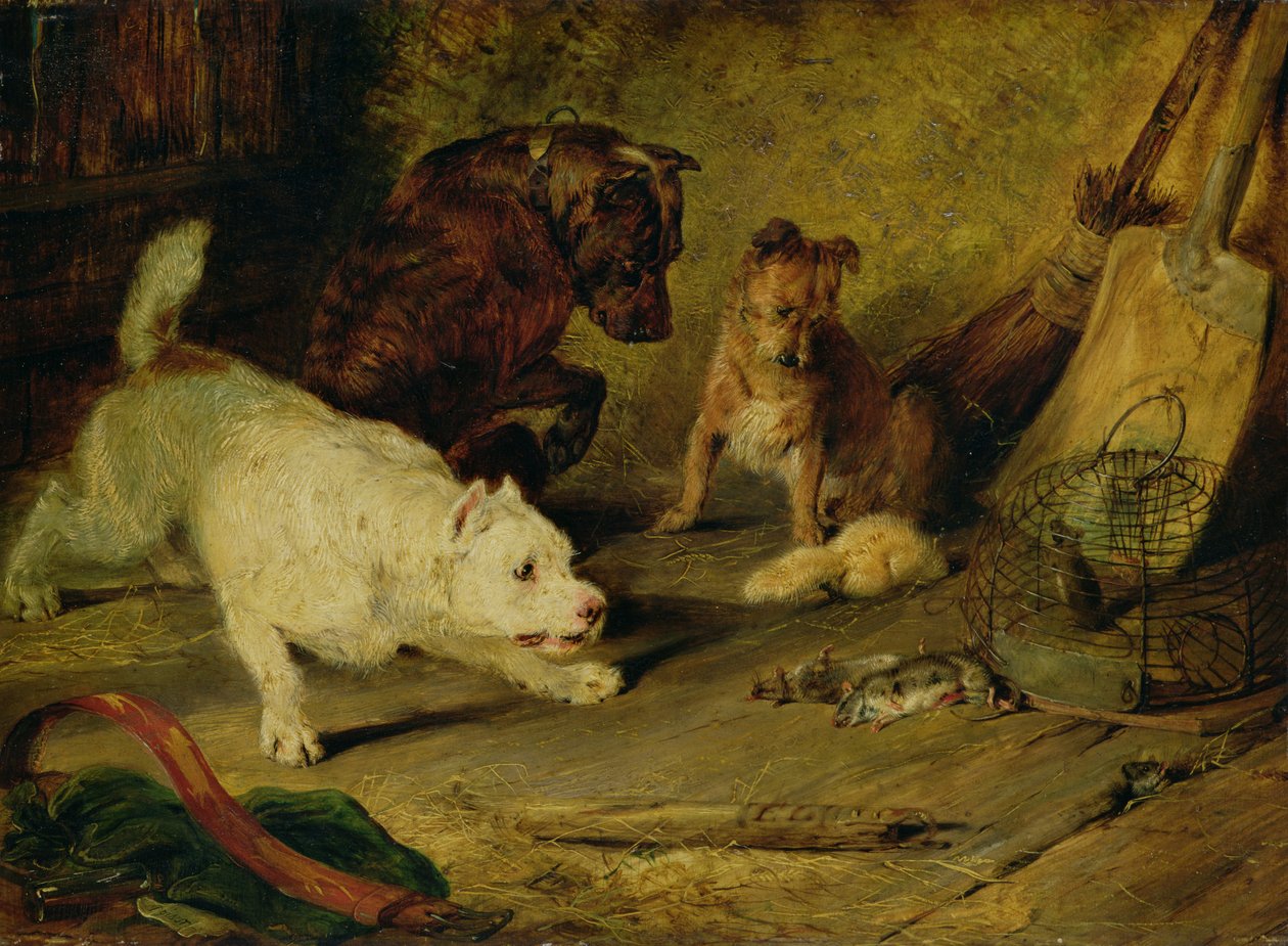  av Edwin Landseer