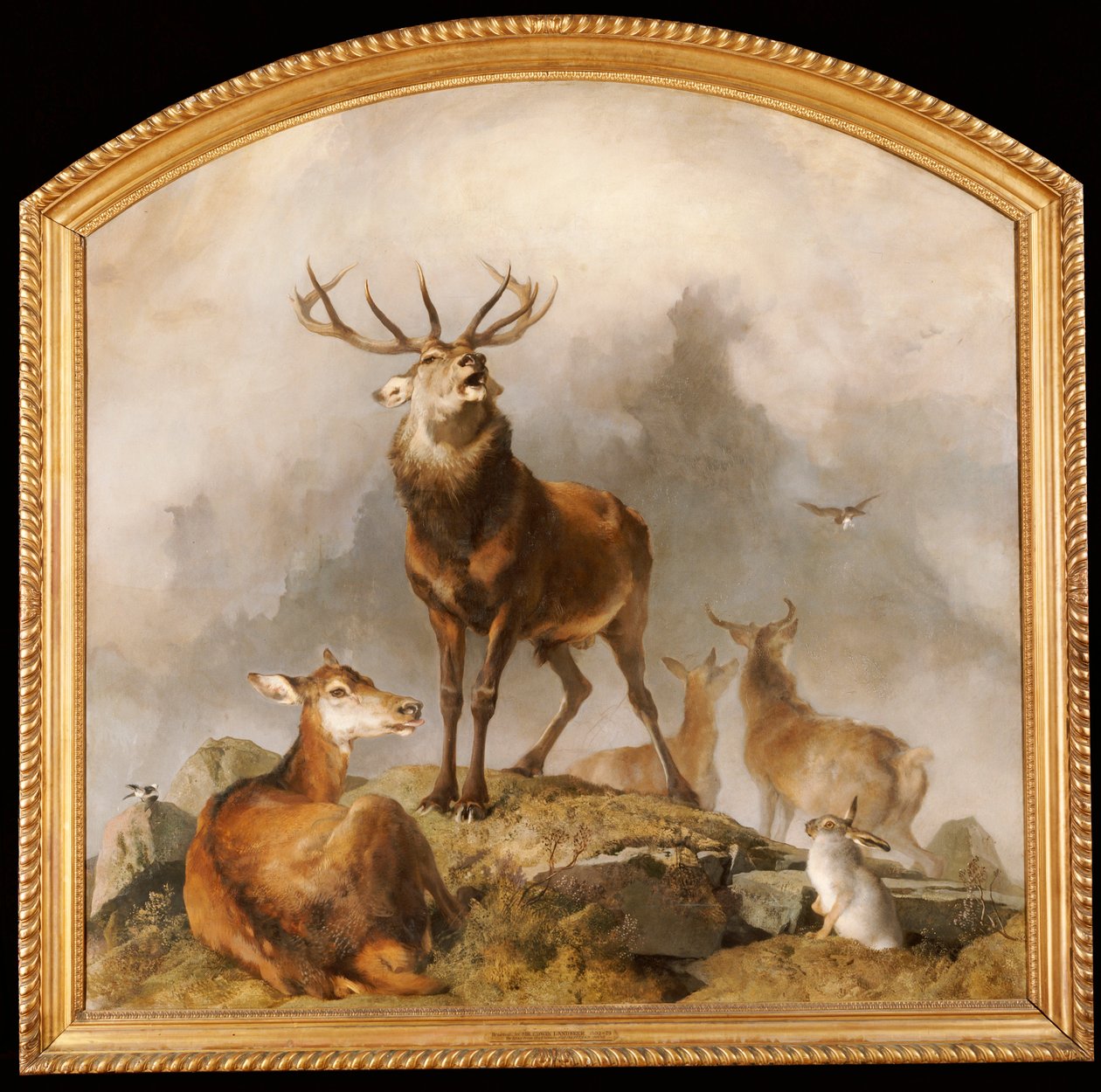Scene i Braemar - Highland Deer av Edwin Landseer