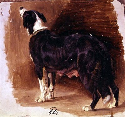 Skisse av en Collie av Edwin Landseer