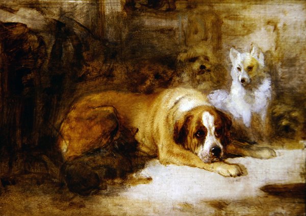 Study of Dogs (olje over blyant på lerret) av Edwin Landseer
