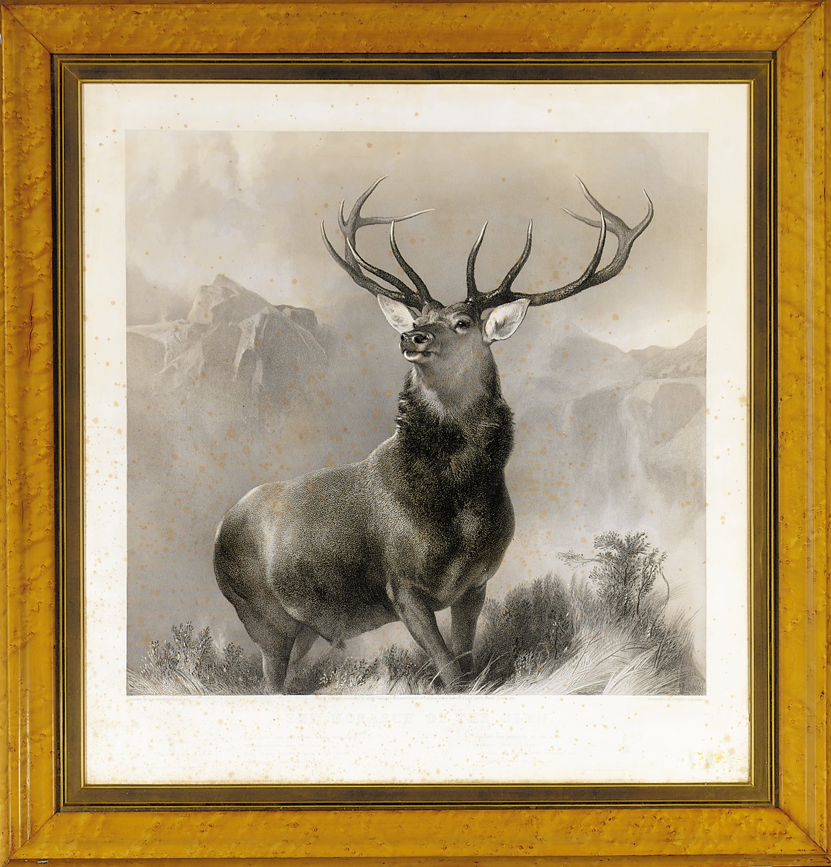 The Monarch of the Glen, 1852 av Edwin Landseer