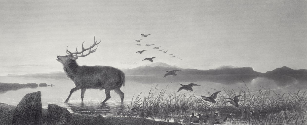 Redningen av Edwin Landseer