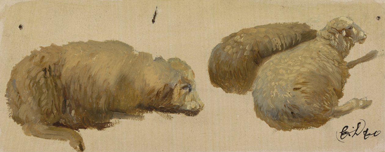 Tre sauer i ro (olje på papir) av Edwin Landseer