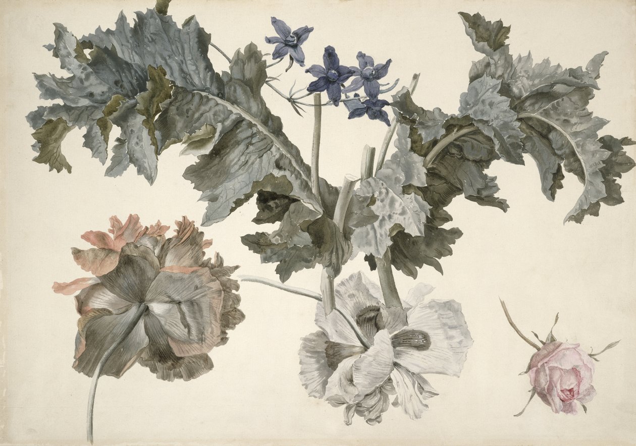 PD.424-1973 Dobbeltblomstrede opiumsvalmuer, valmueblader, delphinium og en roseknopp av Eelke Jelles Eelkema