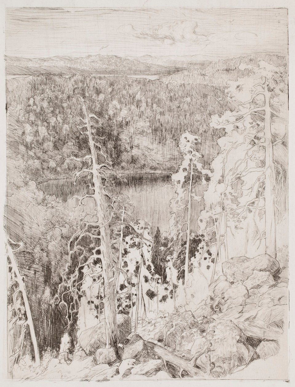 Landskap fra Koli; Skogslandskap fra Räsävaara av Eero Järnefelt