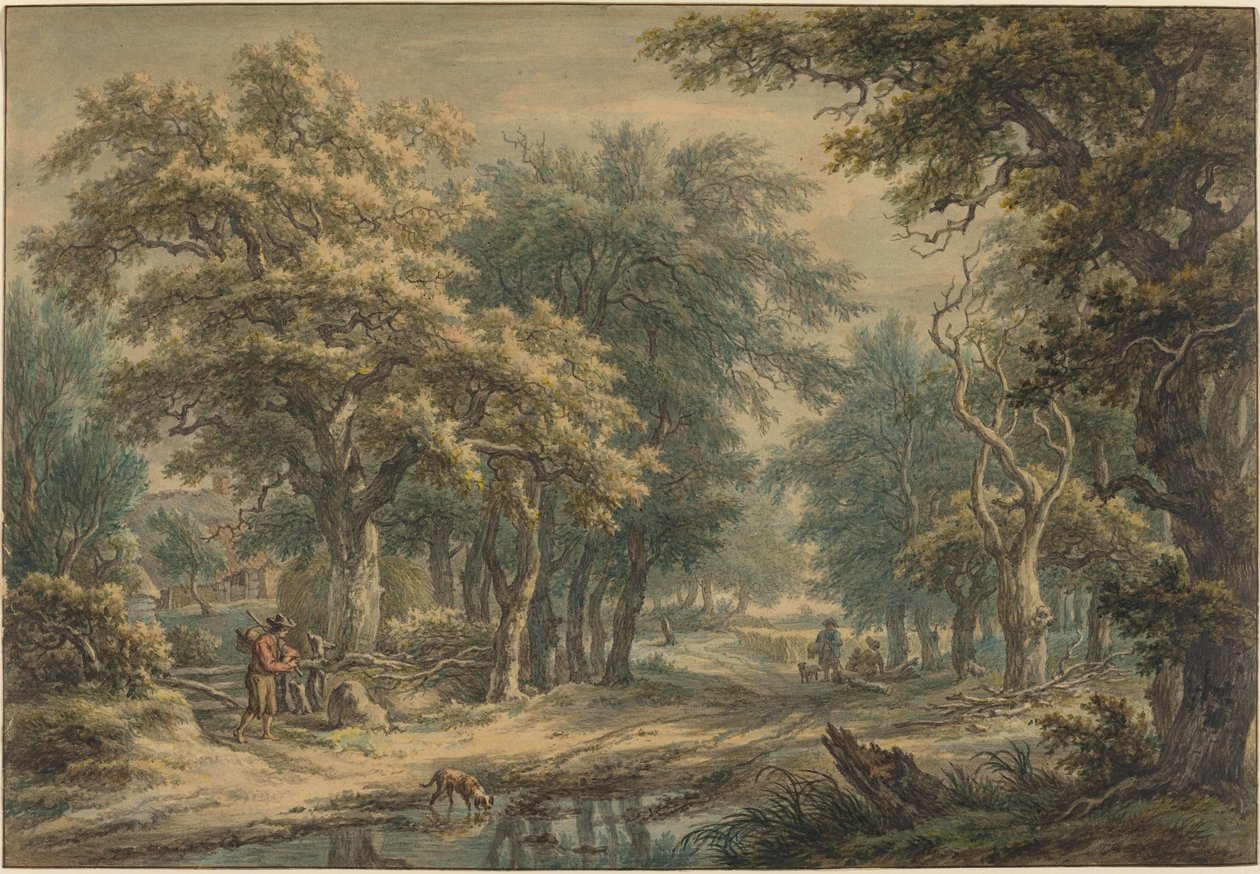 På Donderen, i Drenthe-skogen av Egbert van Drielst