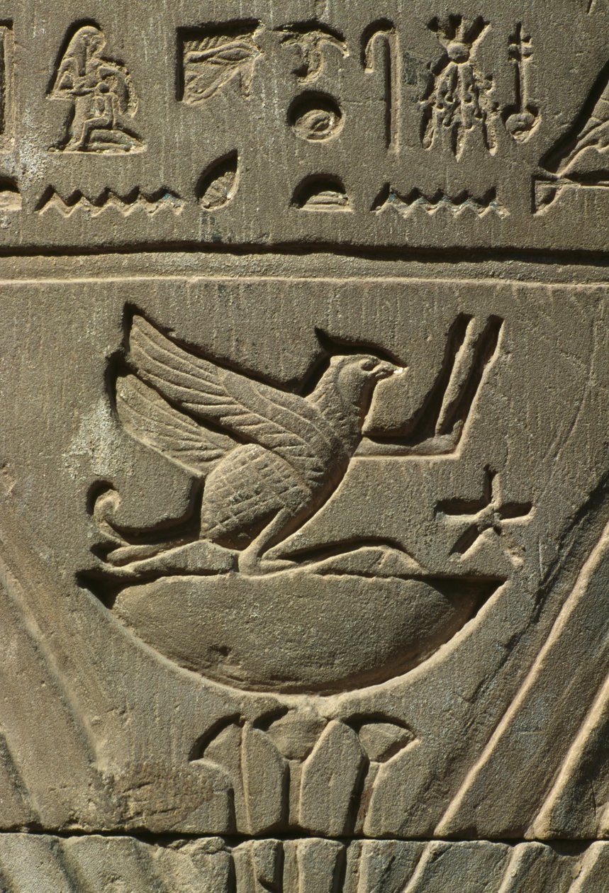 Detalj av et relieff, hieroglyfer kalkstein av Egyptian