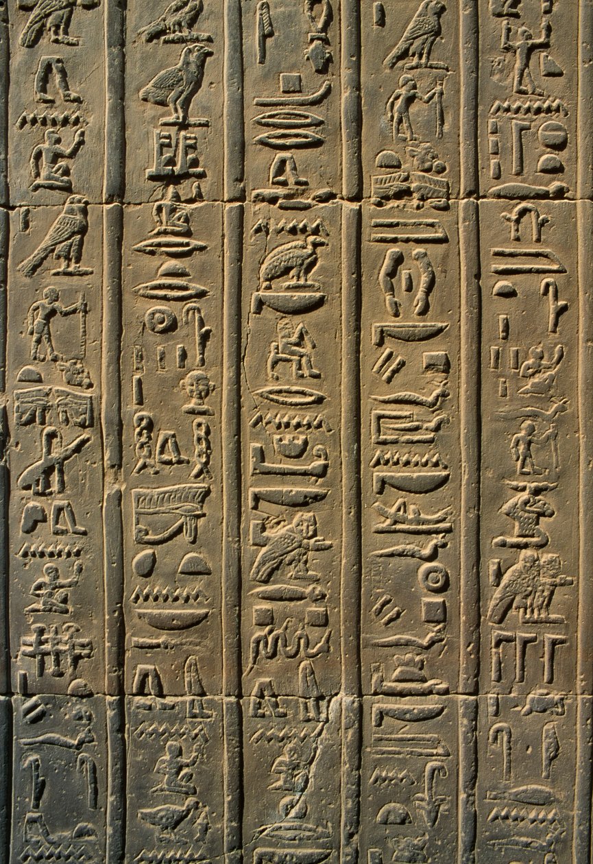 Detalj av en reliefhieroglyfstein av Egyptian