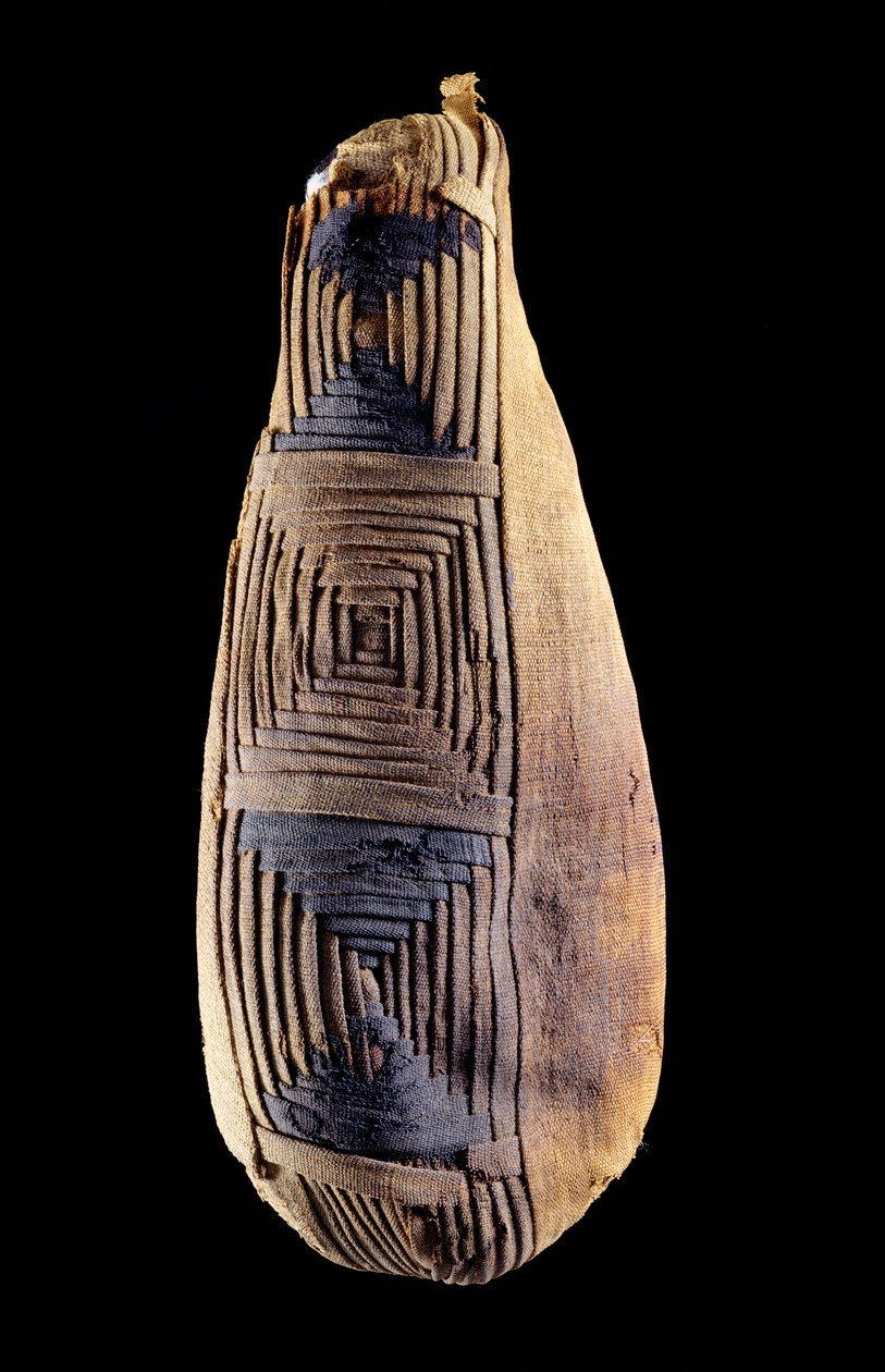 Mamma til en ibis, fra Abydos, Egypt av Egyptian