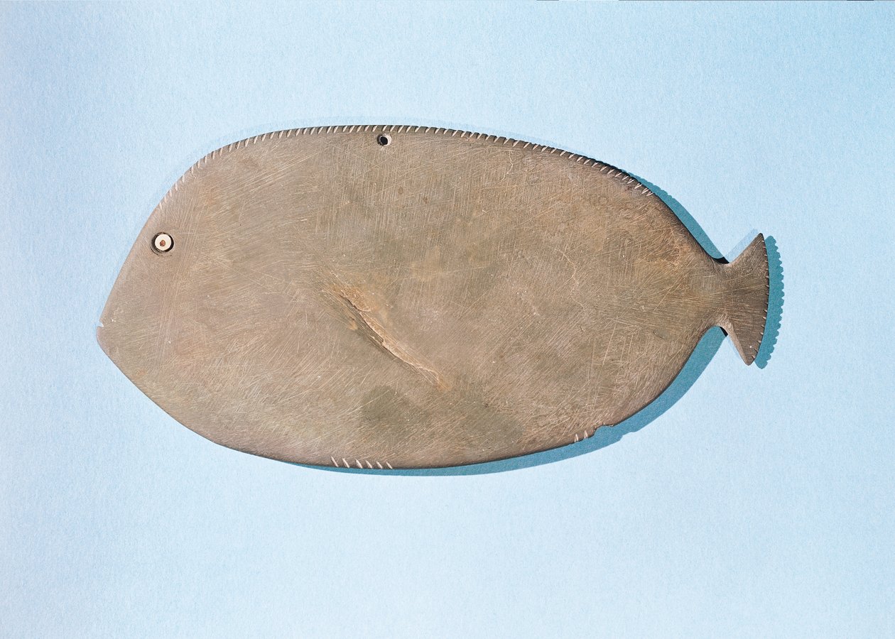 Palett i form av en fisk, pre-dynastisk periode (5000-3100 f.Kr.) (skifer) av Egyptian
