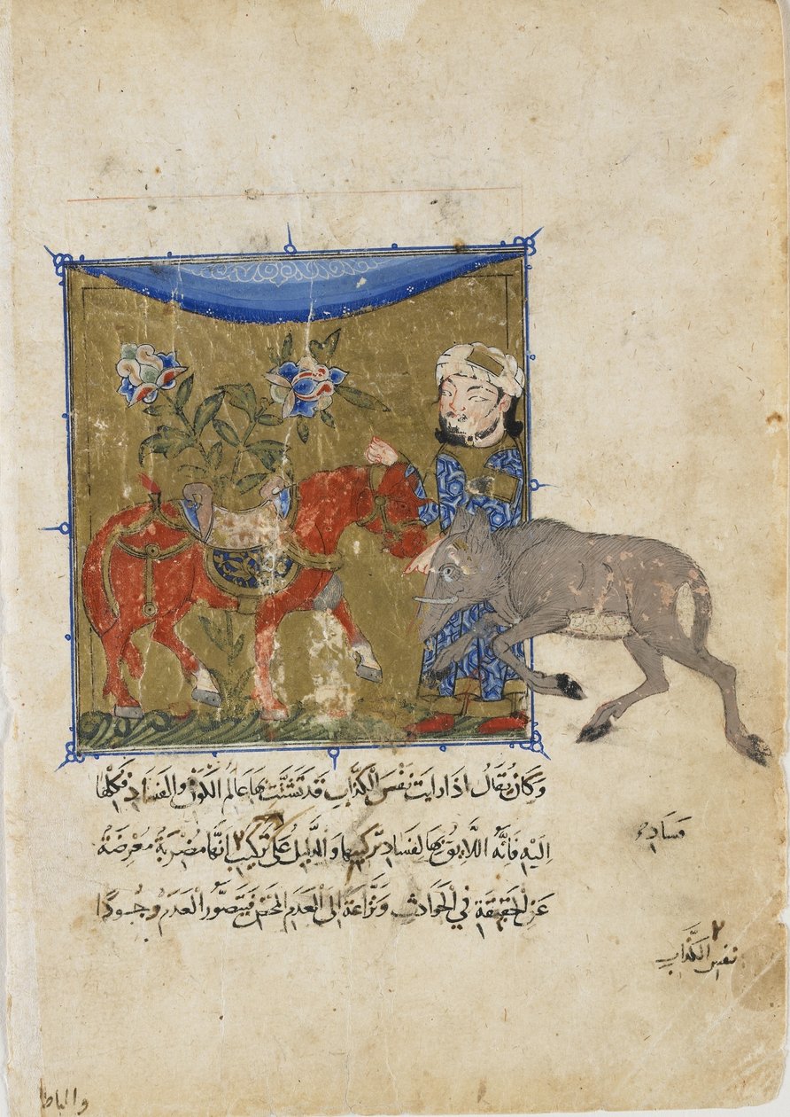 Villsvinet og hesten, folio fra en Sulwan al-Muta av Ibn Zafar, Mamluk-dynastiet, ca. 1335 (ugjennomsiktig akvarell, blekk og gull på papir) av Egyptian