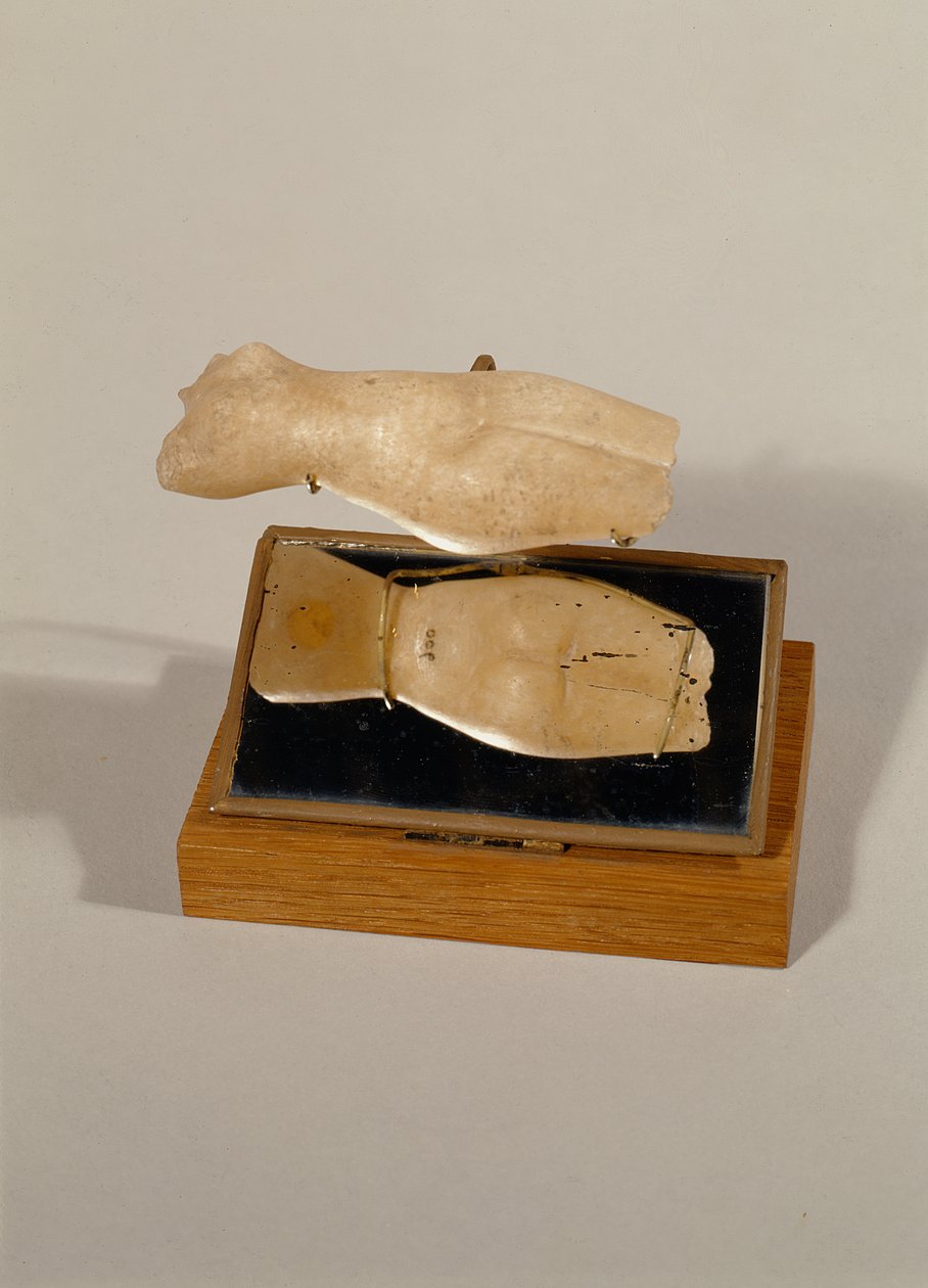 Torso av en kvinne, New Kingdom (alabast) av Egyptian 18th Dynasty