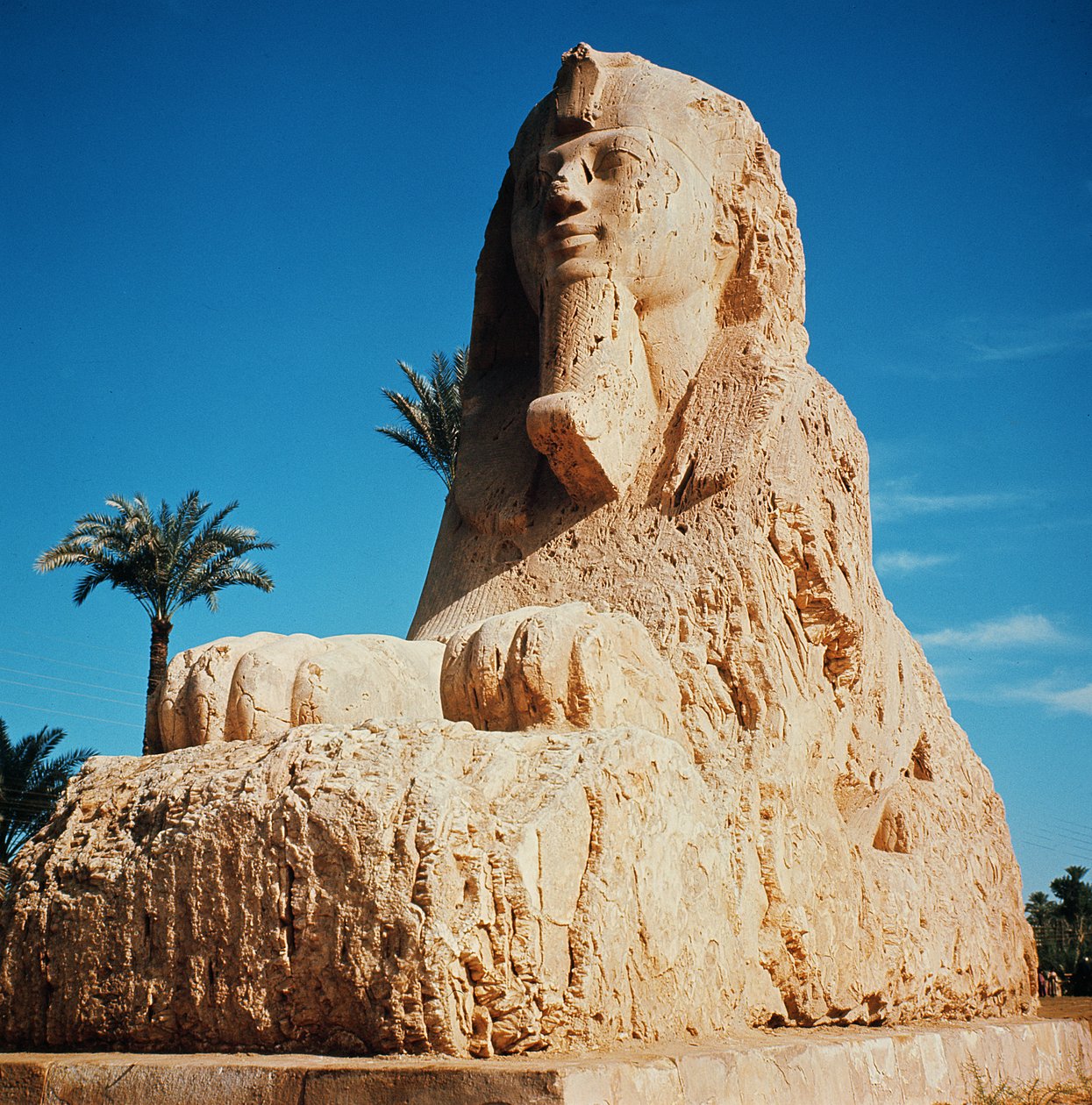 Alabaster Sphinx, New Kingdom, sannsynligvis fra regjeringen til Amenhotep II, ca. 1450-1425 f.Kr. (se også 59240) av Egyptian 18th Dynasty