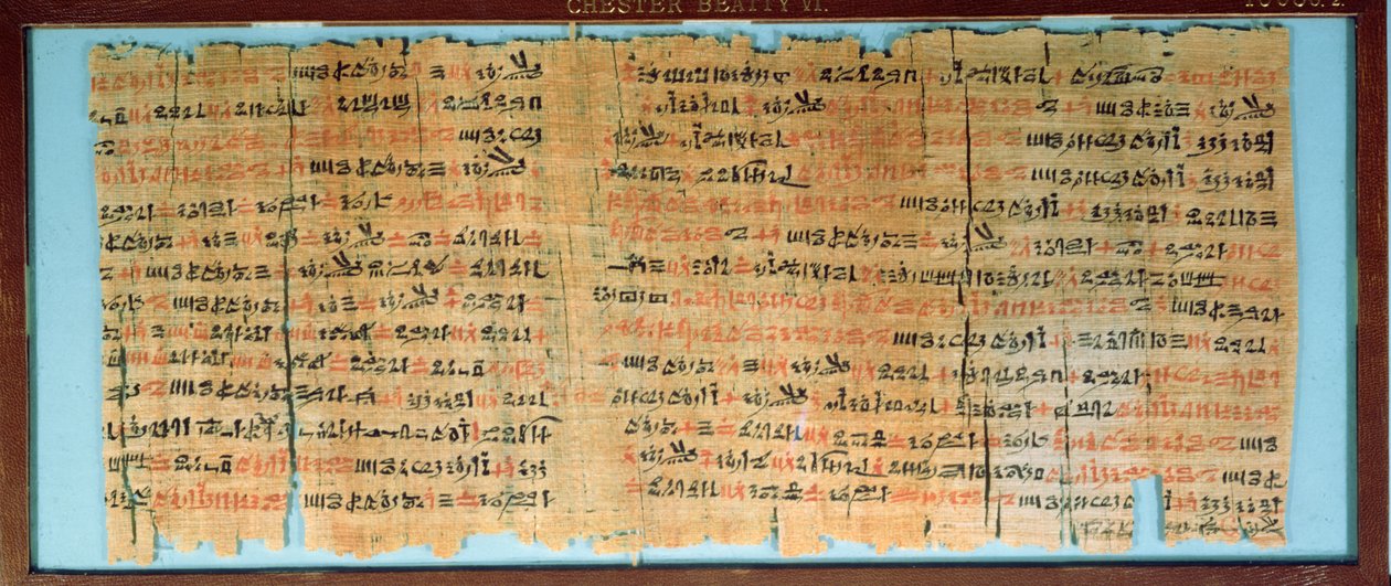 The Chester Beatty Medical Papyrus, New Kingdom, ca. 1200BC (papyrus) av Egyptian 19th Dynasty