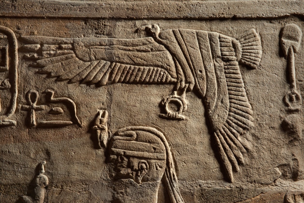 Relieff på en helligdom reist av farao Taharqa i hoffet til Temple of Amun bygget av ham i Kawa i Nubia, 25. dynasti, sen periode, 690-64 f.Kr. sandsteinsdetalj fra 107896 av Egyptian 25th Dynasty