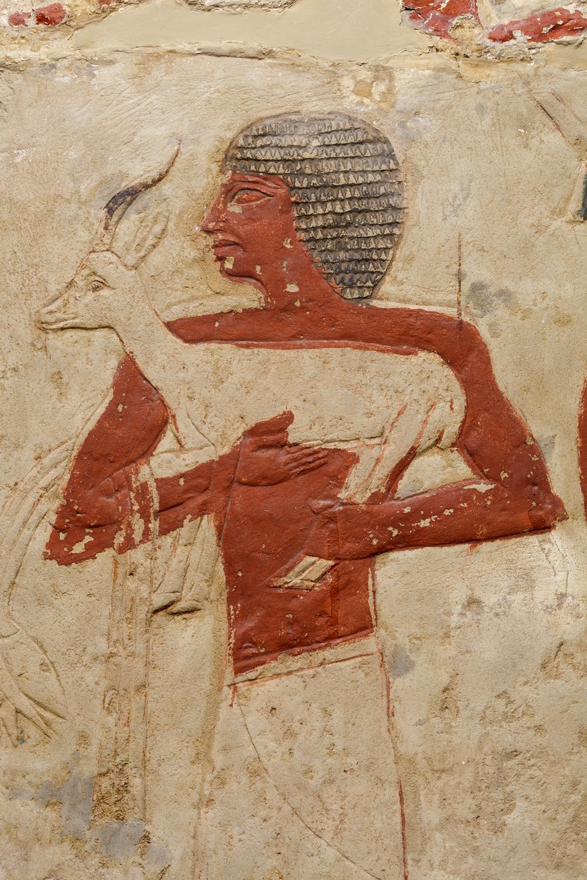Mastaba-graven til Perneb, ca. 2381–2323 f.Kr. (kalkstein og maling) av Egyptian 5th Dynasty