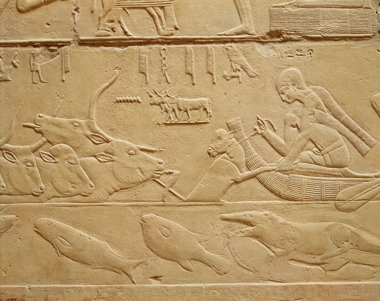 Storfe som krysser et vadested, fra Mastaba av Kagemni-steinen av Egyptian 6th Dynasty