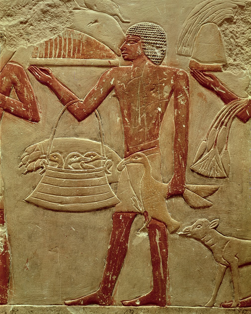 Relieff som viser en portør med en kurv med unger, fra graven til prinsesse Idut, Old Kingdom, ca. 2330 f.Kr. (malt kalkstein) av Egyptian 6th Dynasty