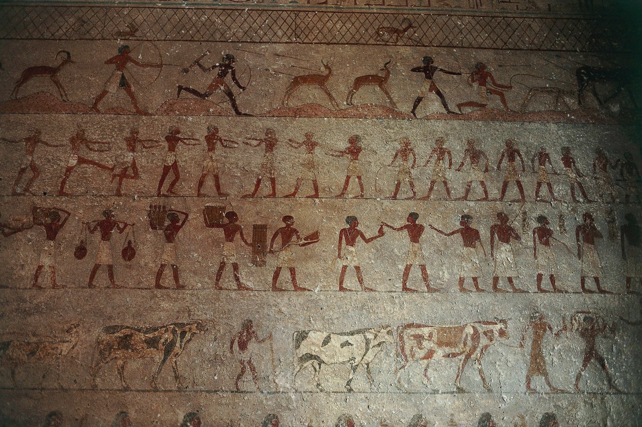Beni-Hasan nekropolis. Tomb of Amenemhat, detalj: veggmalerier som skildrer jaktscener og livet på landet av Egyptian 12th Dynasty