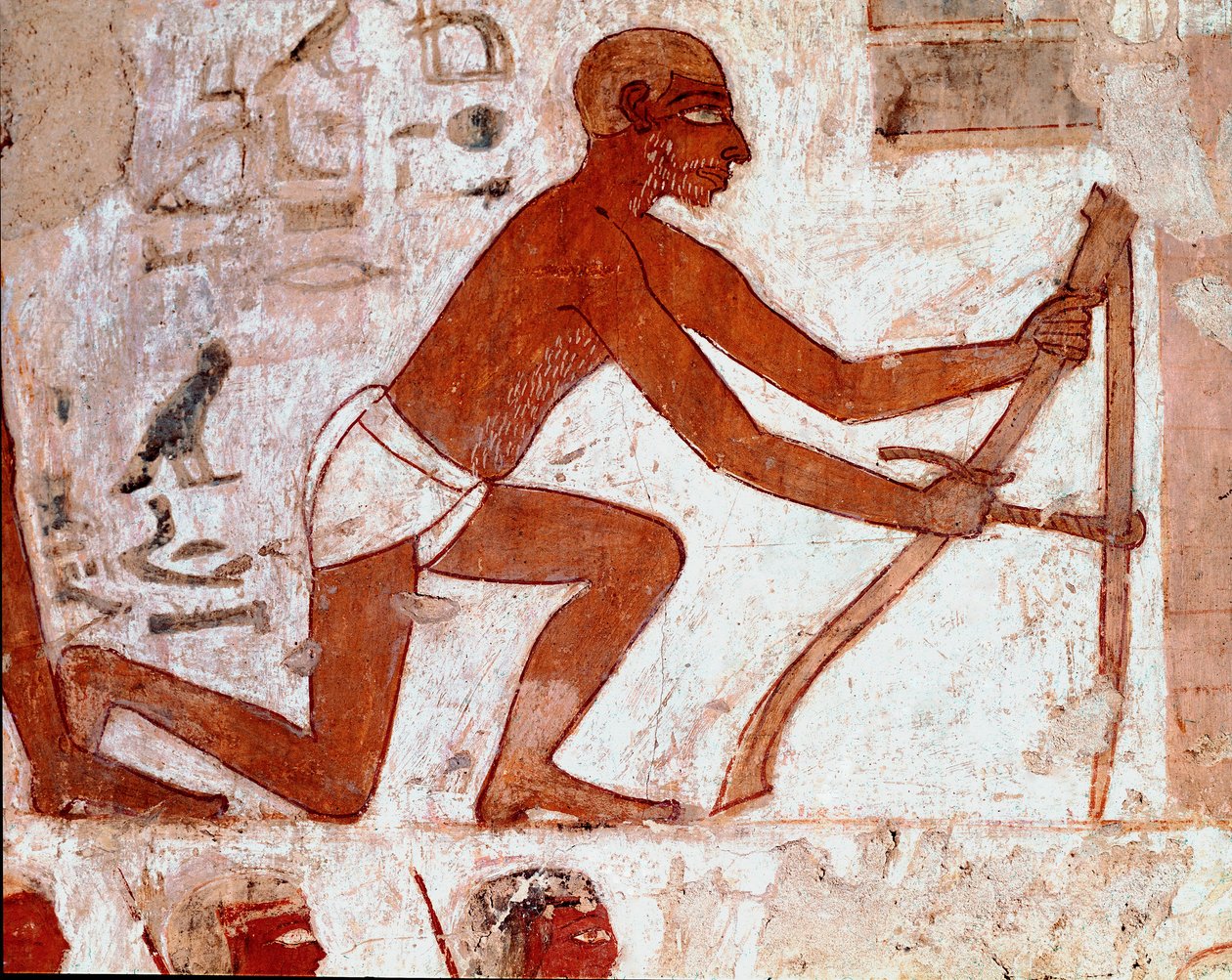Egyptisk kunst: Tomb of Rekhmire. Ploucherarbeid med landbruksverktøyet sitt. Fresco of Luxor (Tebens sted, Sheikh Abd al-Gournahs nekropolis (Gournah), venstre bredd av Nilen, Egypt. - Det gamle Egypt: Rekhmires grav. Arbeidet til en plogmann med sin agri av Egyptian 18th Dynasty