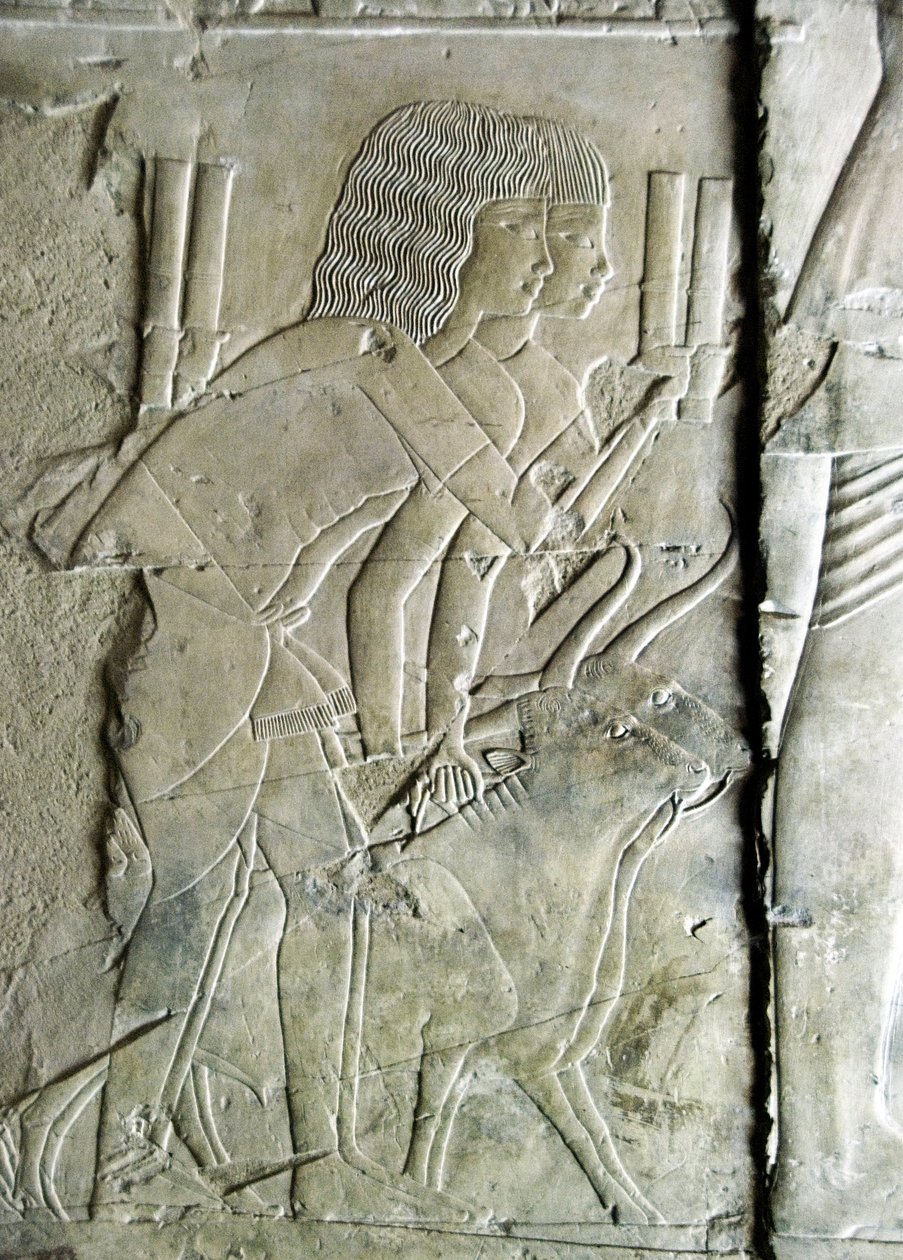 Egyptisk antikvitet: kobles fra graven til Kha em Het (Khaemhat) loftsinspektør og skriver til hoffet til Amenophis III (TT57) som representerer menn som ofrer betehoder som et offer. 18. dynasti. 1530-1290 f.Kr. Vallee des Nobles. Luxor, Vestbredden, f.ek av Egyptian 18th Dynasty