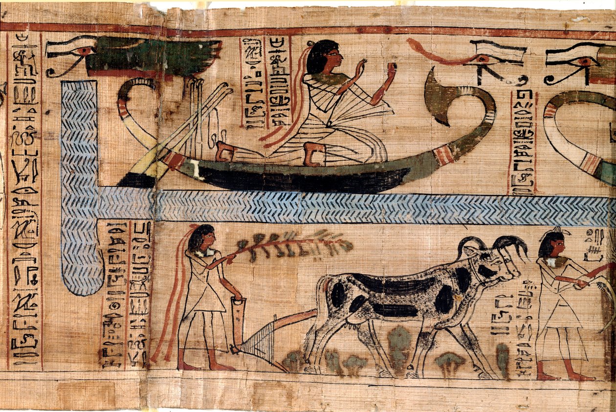 Egyptisk antikvitet: navnet på avdøde Aner representerer på båten til Osiris, scene for pløying og veiing av sjeler (psykostase). Papyrus fra en dødebok, 20. dynasti, fra Theben. Torino, egyptisk museum - Det gamle Egypt: navnet på de døde av Egyptian 18th Dynasty