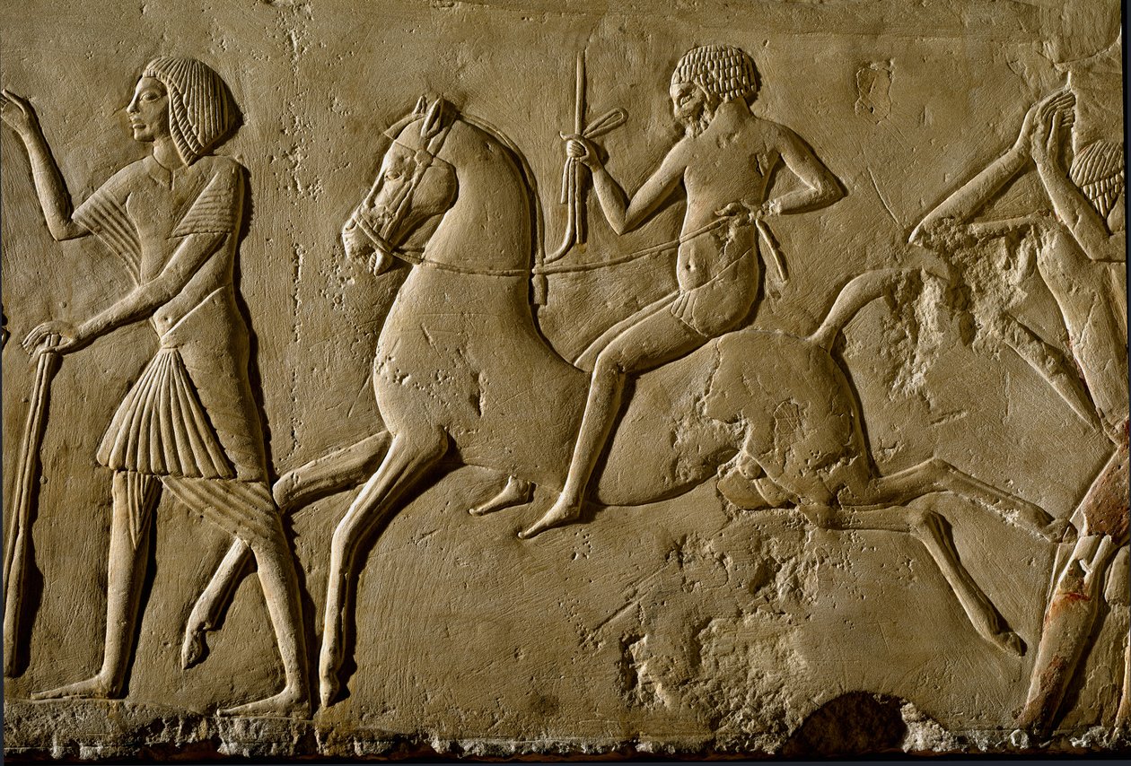 Egyptisk antikvitet: "" kriger på hesteryggen"" Relieff fra en grav av en høy dignitær. 1354-1346 f.Kr. 18. dynasti. Bologna, Civico Museo Archeologico av Egyptian 18th Dynasty