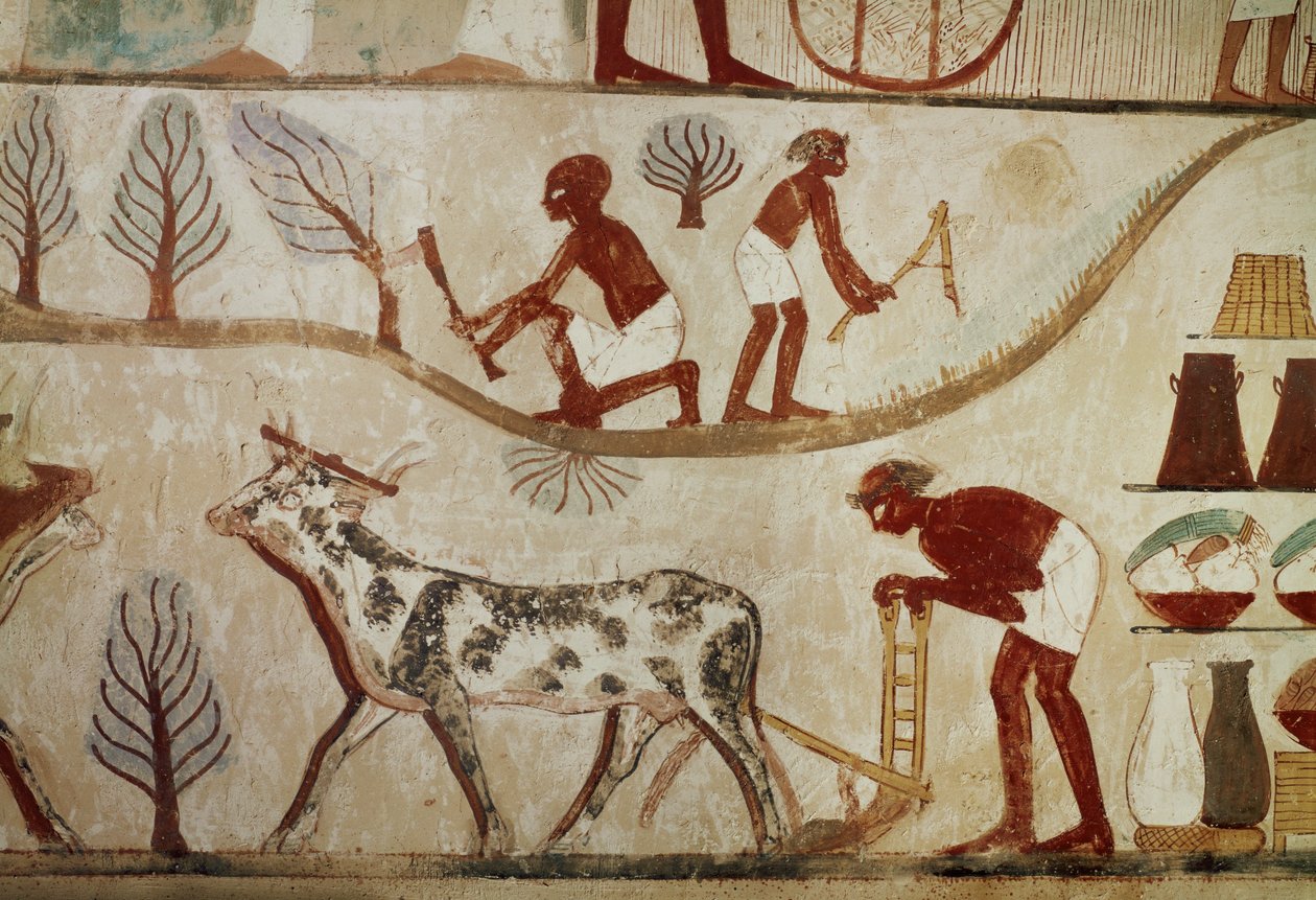  av Egyptian 18th Dynasty