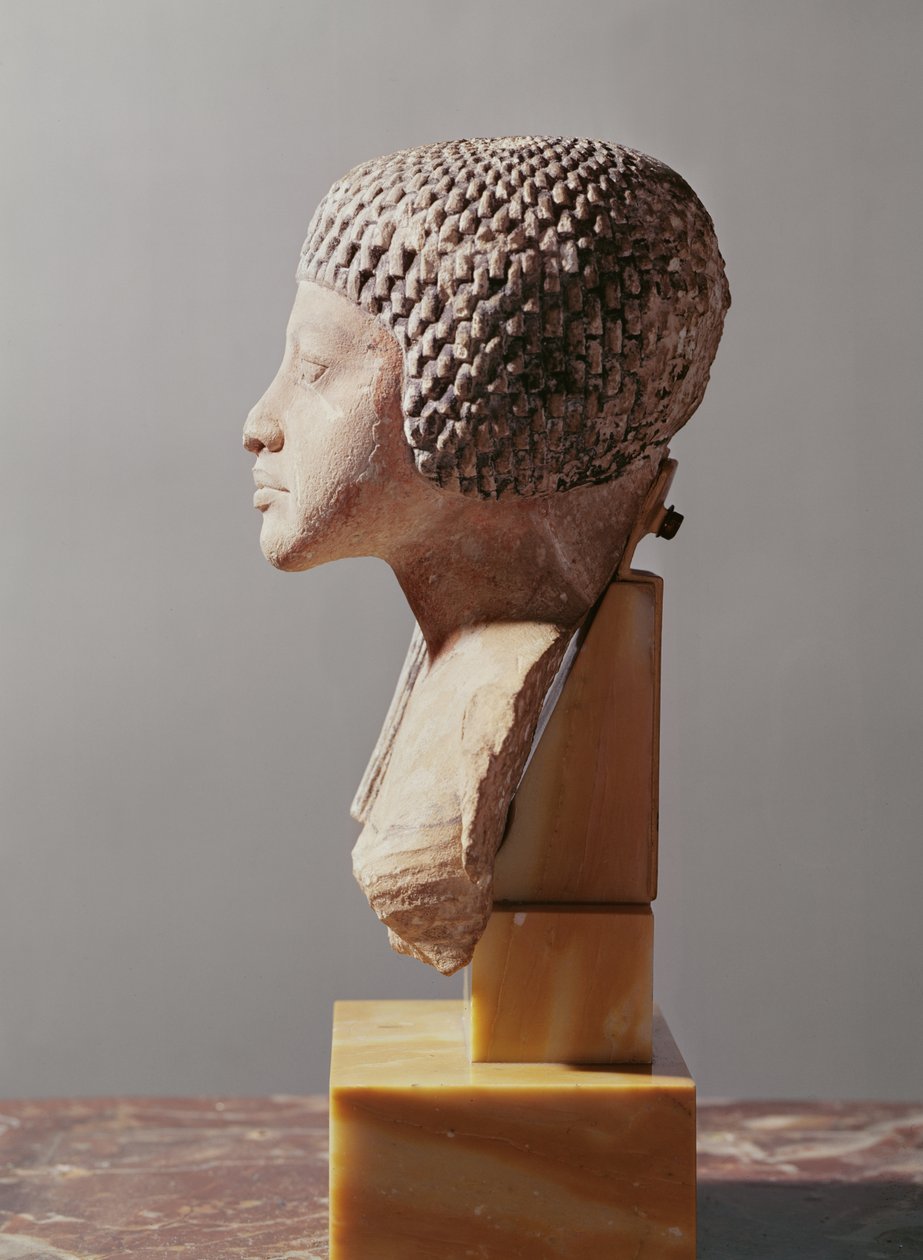 Venstre profil av hodet til en prinsesse fra familien til Akhenaten, New Kingdom (malt kalkstein) (se også 107940, 116813, 370211) av Egyptian 18th Dynasty