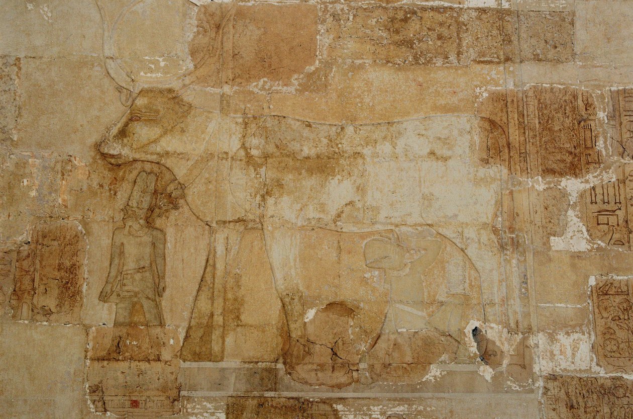 Dronning Hatshepsuts likhustempel: Hathor-kapellet, gudinnen i sin kvegform, med krone, blir matet av Hatshepsut (fotografi) av Egyptian 18th Dynasty