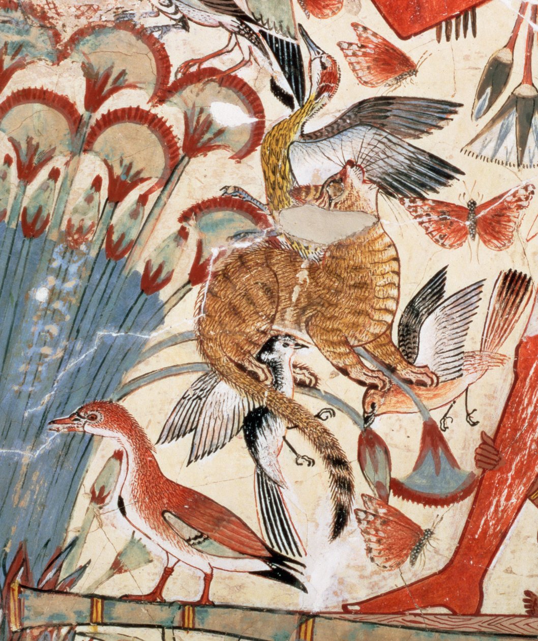 Nebamun jakter i myrene med sin kone en datter, en del av et veggmaleri fra gravkapellet til Nebamun, Theben, New Kingdom, ca. 1350 f.Kr. (malt gips) (detalj av 3748) av Egyptian 18th Dynasty