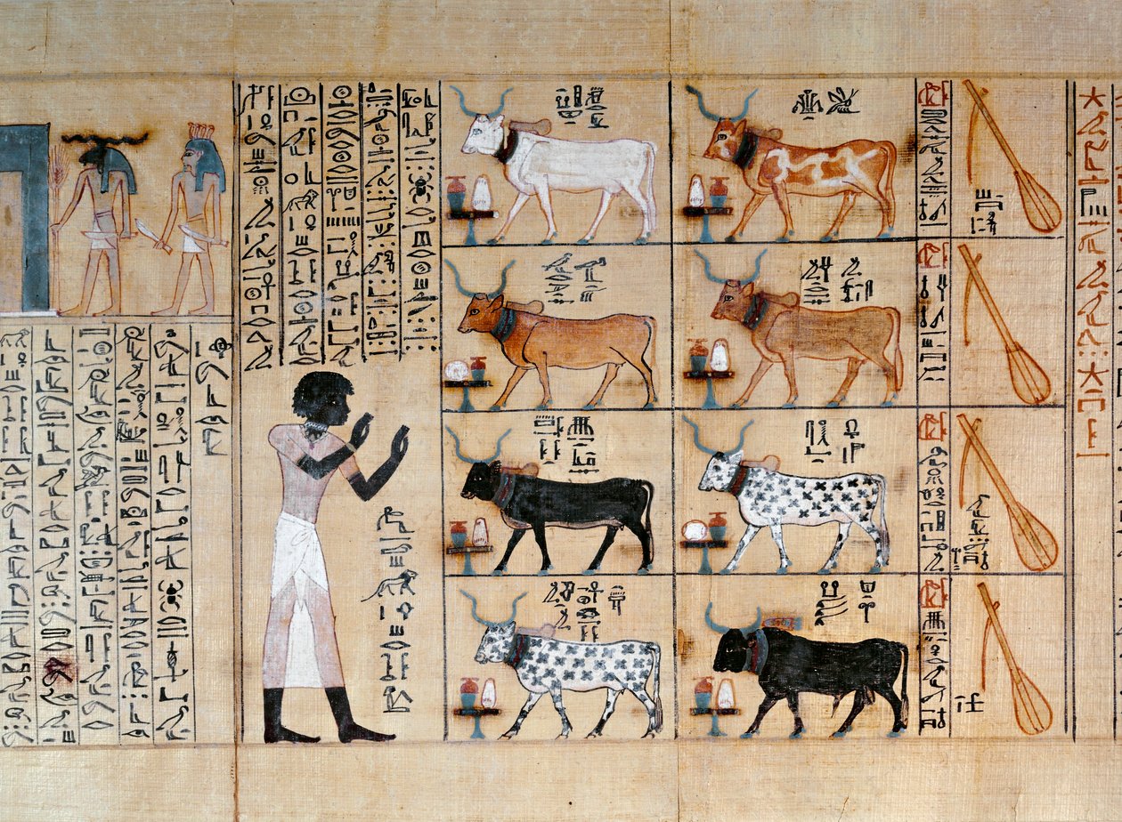  av Egyptian 18th Dynasty