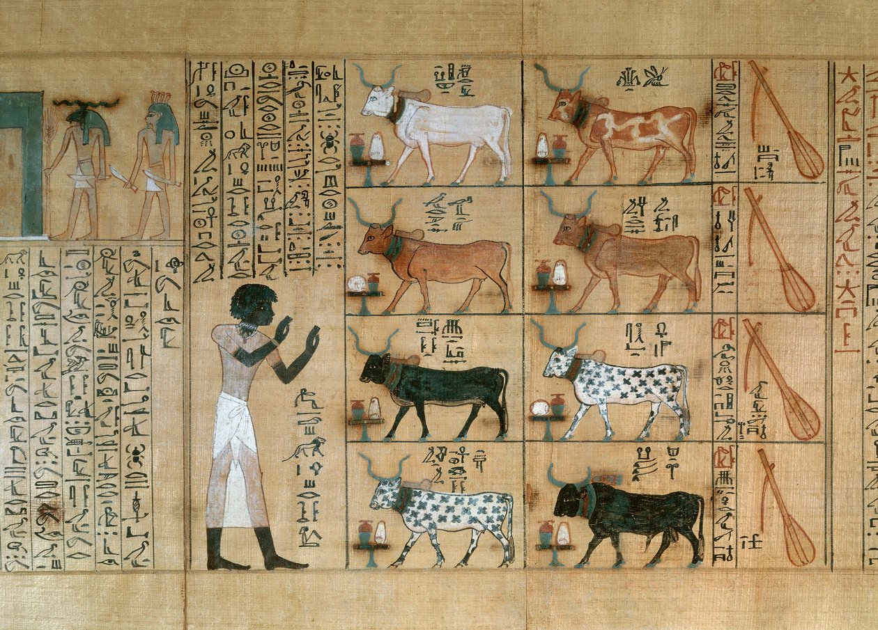  av Egyptian 18th Dynasty