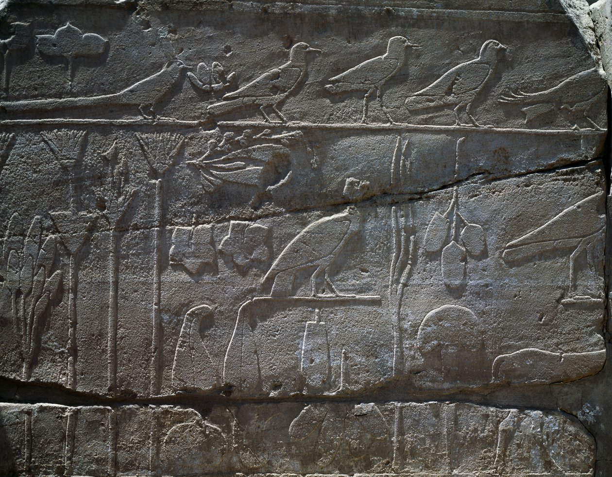 Planter og dyr brakt tilbake fra Thutmose IIIs ekspedisjon til Syria i 1465 f.Kr., detalj av lettelse, hall kjent som den såkalte botaniske hagen, Temple of Amun, Karnak Temple Complex, Egyptian Civilization, New Kingdom, Dynasty XVIII av Egyptian 18th Dynasty