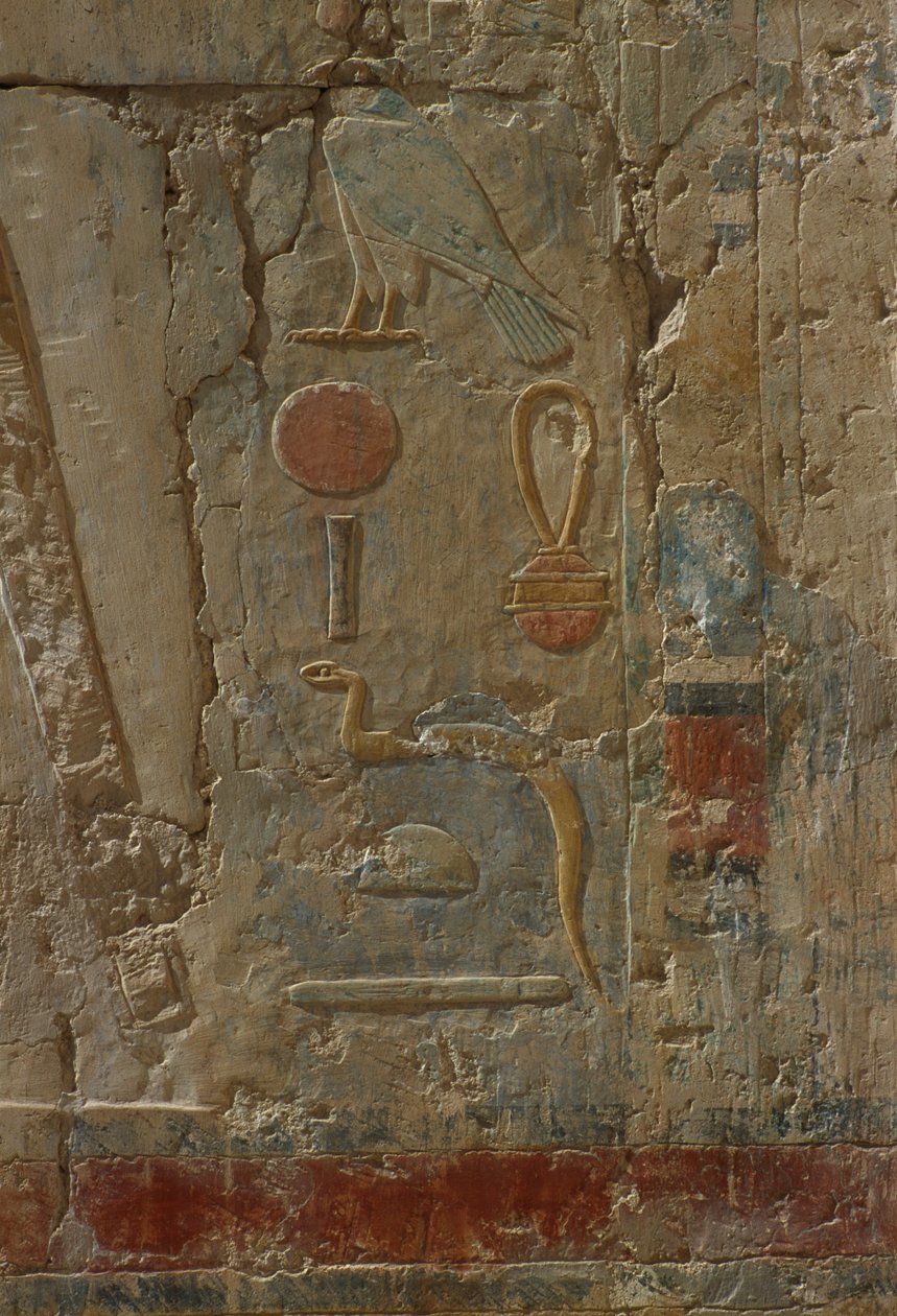 Relieff som viser Horus, kapellet til gudinnen Hathor, fra liktempelet i Hatshepsut (ca. 1503-1482 f.Kr.) New Kingdom (malt kalkstein) av Egyptian 18th Dynasty