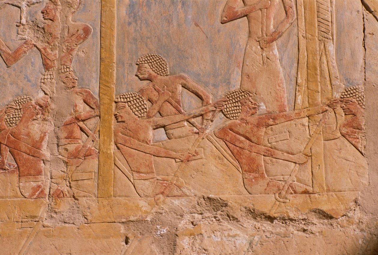 Relieff som viser menn som ror på en båt, vegg dekorert til ære for gudinnen Hathor, detalj, fra liktempelet Hatshepsut (ca. 1503-1482 f.Kr.) New Kingdom (malt kalkstein) av Egyptian 18th Dynasty