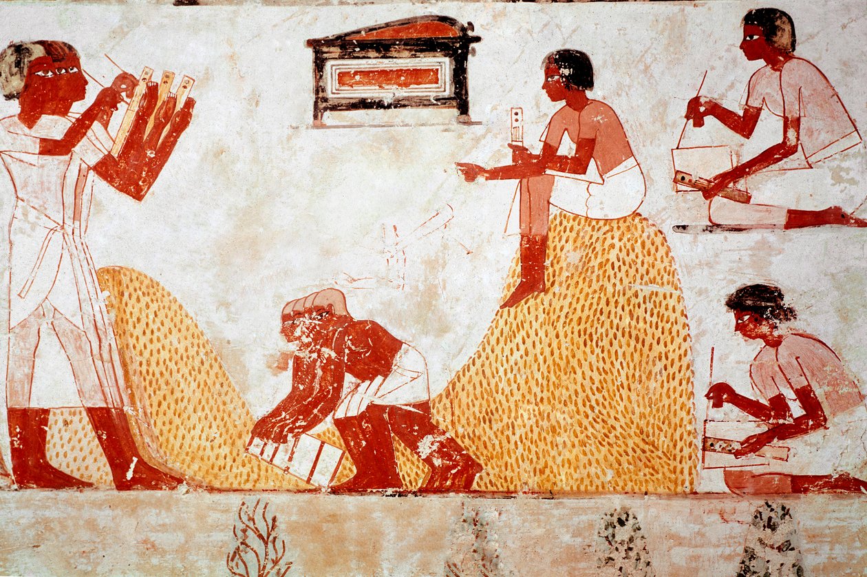 Tomb of Menna: Landbruksscene: samler korn overvåket av en skriver som registrerer innhøstingen (fresco) av Egyptian 18th Dynasty