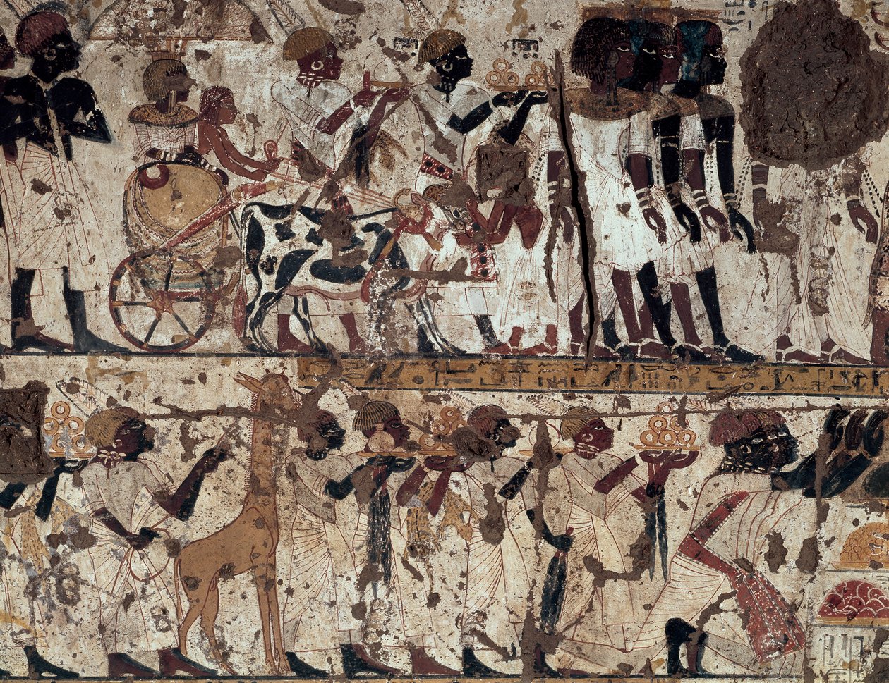  av Egyptian 18th Dynasty