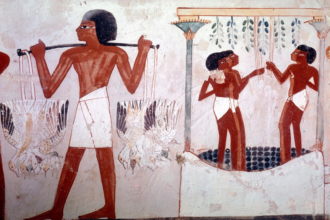 Ukjent bilde av Egyptian 18th Dynasty